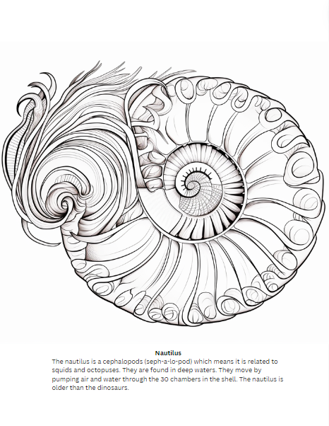 ocean animals coloring page