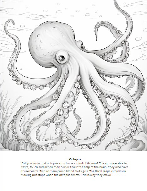 ocean animals coloring page