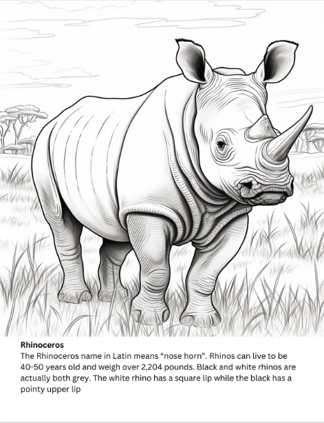 safari animal coloring page