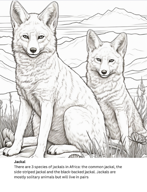 safari animal coloring page