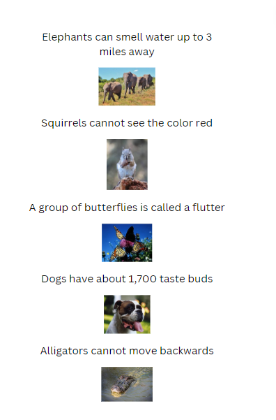 Horses can't vomit book page